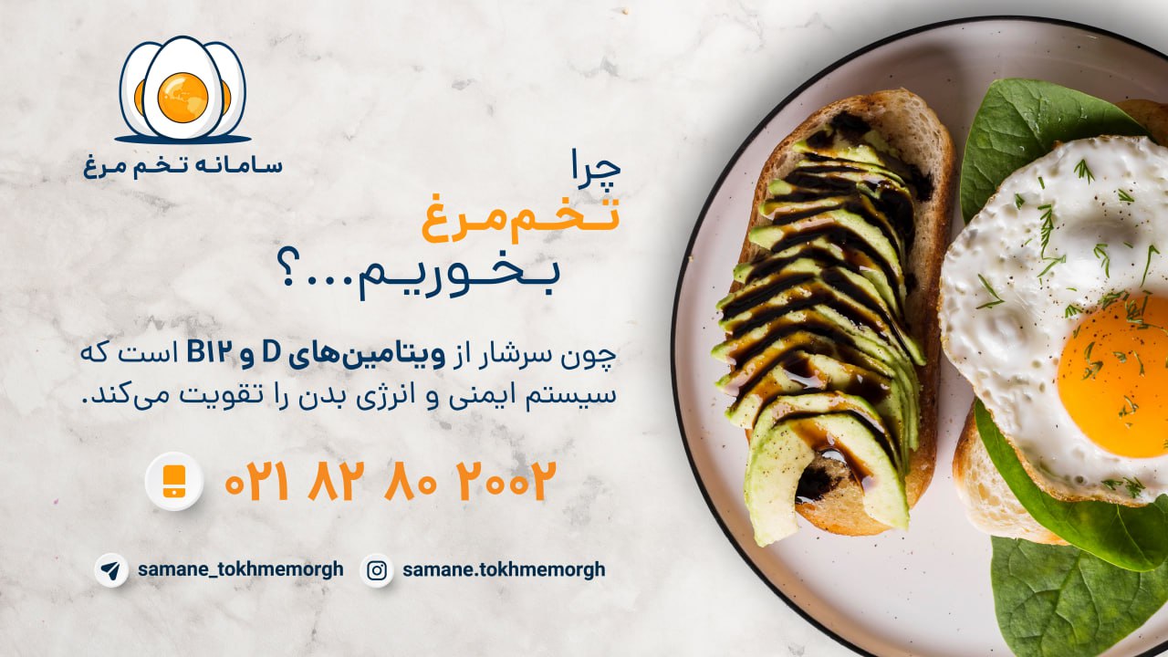 چرا تخم مرغ بخوریم ؟