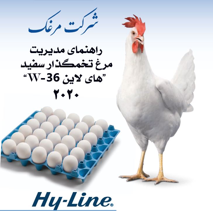 راهنمای مرغ تخمگذار تجاری W36 هايلاين