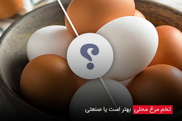 تخم مرغ محلی بهتر است یا صنعتی