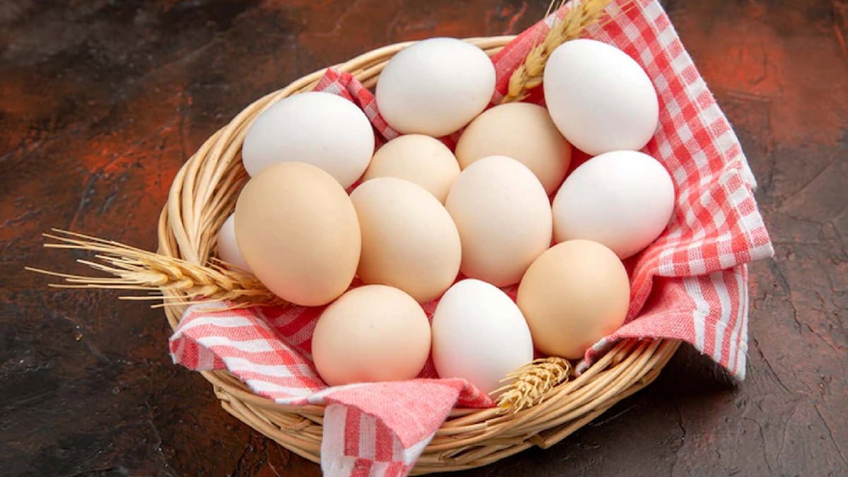 مواد معدنی تخم مرغ